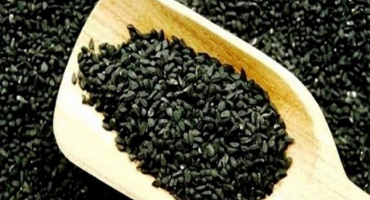 Popis odrůd a odrůd černého tymiánu (tymiánu)